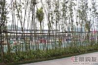 3.29 一期园林实景