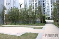 3.29 一期园林实景