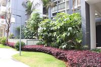 3.29 一期园林实景