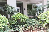 3.29 一期园林实景