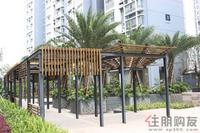 3.29 一期园林实景