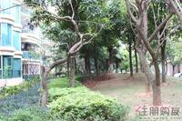 3.29 园林实景