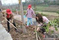 2011.03.13种下爱心树
