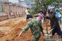 2011.03.12搬运树苗