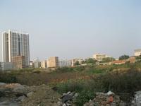 11月4日 项目地实景图