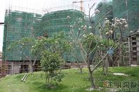 2011.6.16升禾·绿城世界 实景图