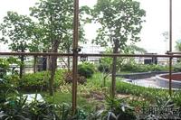 2011.6.16升禾·绿城世界 实景图