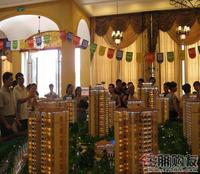 7.9  5#楼加推现场