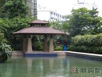 7月30日邕江明珠实景图 泳池一角