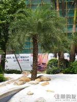 7月30日万昌·邕江明珠园林实景图