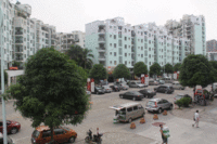 同和·长兴铺实景图(7.19)