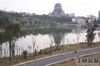 2011.4.17青湖湿地公园