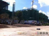 同和泊湾工程进度20110805