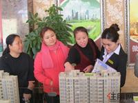 12.3 向置业顾问咨询