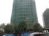 阳光名邸工程进度