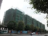 阳光名邸工程进度