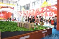 恒大苹果园2011 房博会展位图片