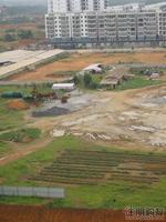 恒泰丽园实景图