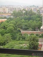 恒泰丽园实景图