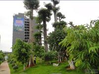 恒泰丽园实景图