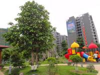 恒泰丽园实景图 