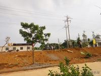 恒泰丽园实景图