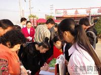 2010年11月13日2期开盘