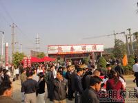 2010年11月13日2期开盘