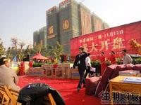 2010年11月13日2期开盘