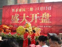 2010年11月13日2期开盘