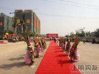 2010年11月13日2期开盘