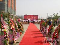 2010年11月13日2期开盘