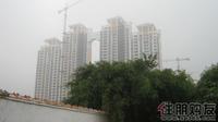八桂绿城·云顶印象景观楼王实景图