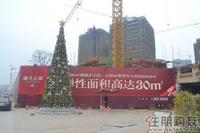 盛天公馆3.30实景图