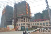盛天果岭3.30实景图