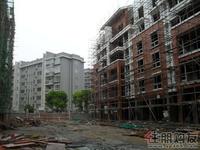 袭汇·果岭春天实景图