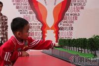 2011 房博会展位图片