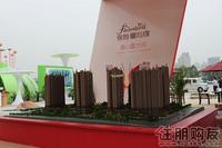 2011 房博会展位图片