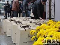 资料（2.19）