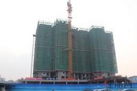 2011年11月11日2#楼005