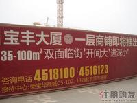 荣宝华·宝丰大厦墙体广告