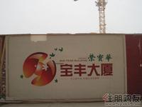 荣宝华·宝丰大厦墙体广告