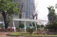 万昌·邕江明珠东南亚园林