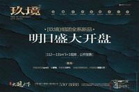 大观天下11月11日广告