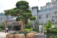 南兴·盛世江南实景图2