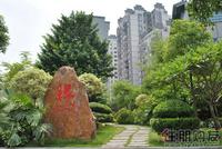 南兴·盛世江南实景图3