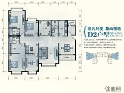 【D2户型】5室3厅3卫1厨2阳台