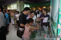 购房者在看户型