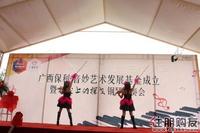 小提琴表演