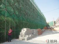 红林墅10月实景